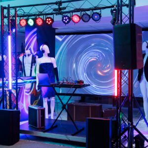 Entertainment Services