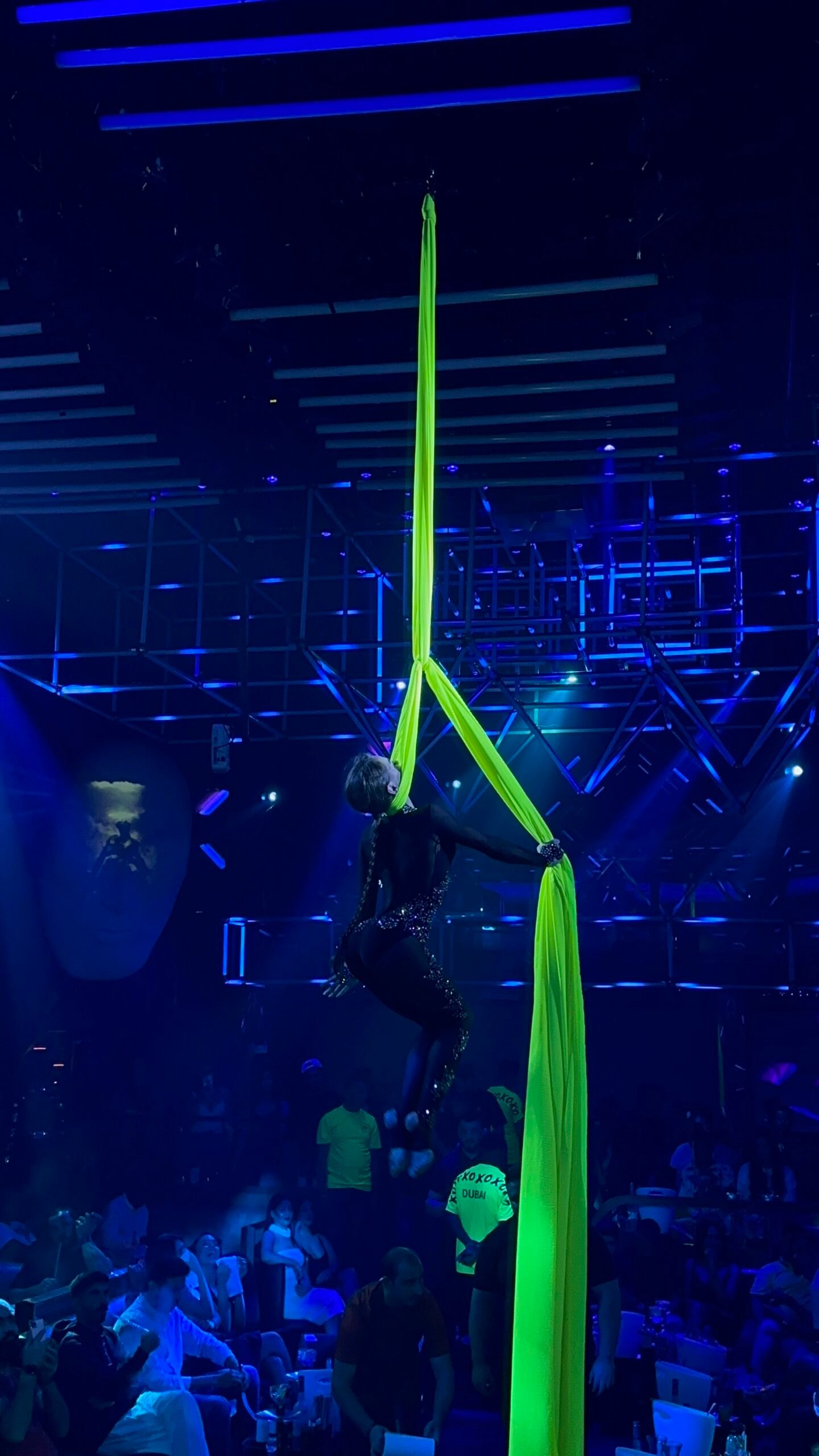 AERIAL SILKS - Image 8