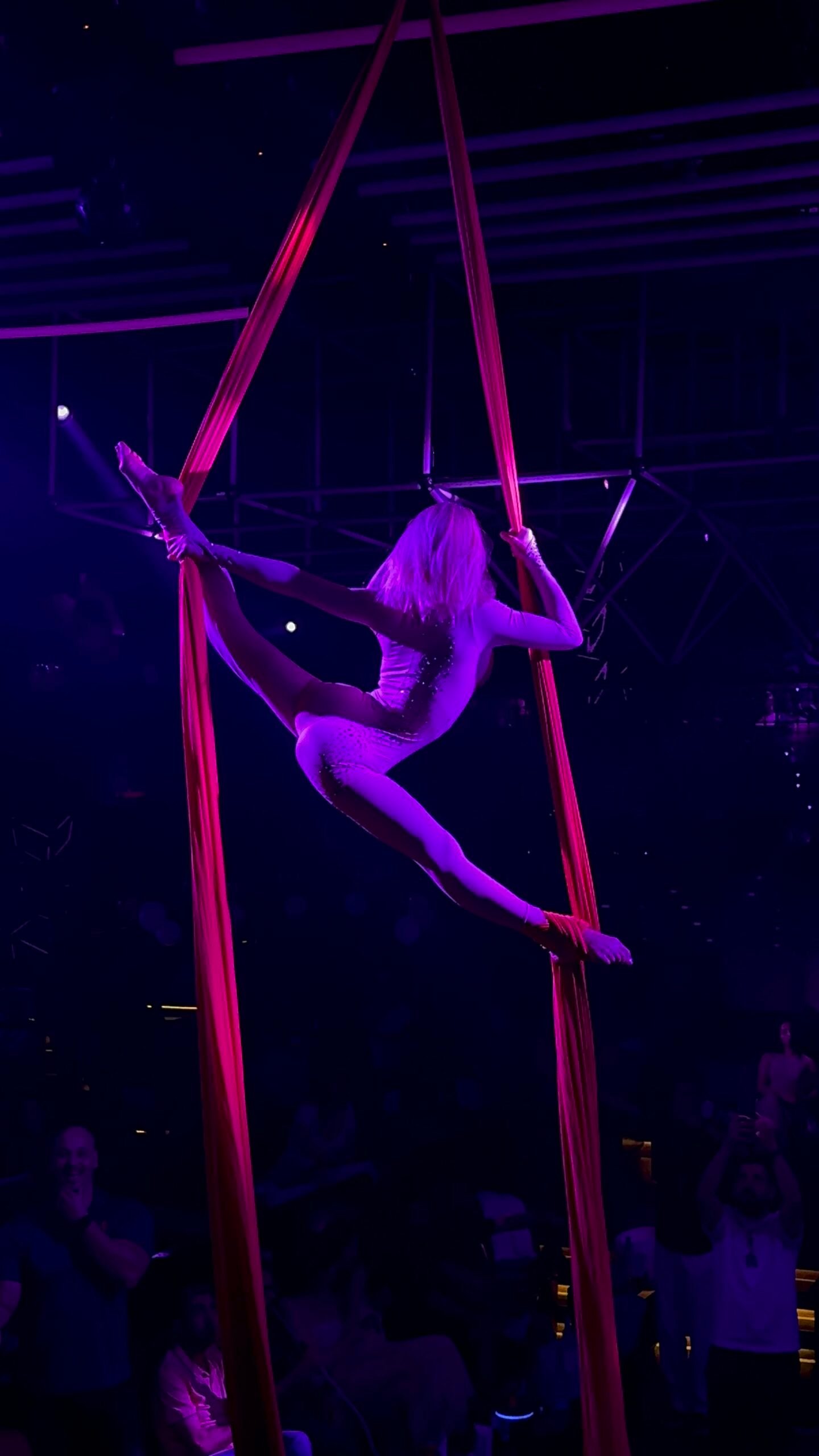 AERIAL SILKS - Image 4