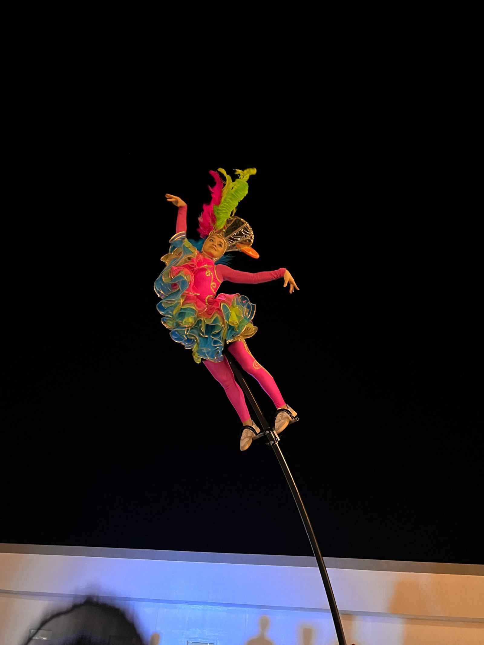 SWAY-POLE ACT - Image 6
